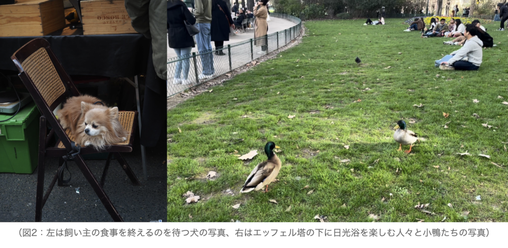 図2：左は飼い主の食事を終えるのを待つ犬の写真、右はエッフェル塔の下に日光浴を楽しむ人々と小鴨たちの写真